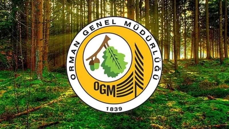 OGM Personel Alımı: 496 Kişiye İş Fırsatı! Başvuru Şartları Neler?