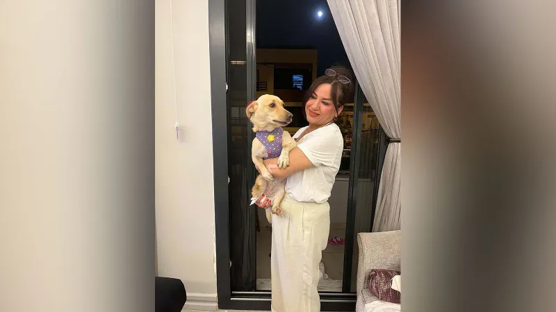 Aydın'da gördüğü vahşi şiddetin ardından felç kalan sevimli Hayat, Almanya'da yeni yuvasına kavuştu
