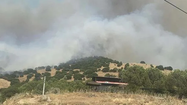 Aydın'da orman yangını: Havadan ve karadan müdahale ediliyor