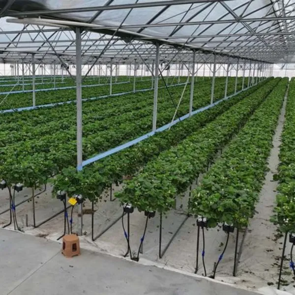 Bafra Sera OSB: 1500 Kişiye İş! İşte Detaylar