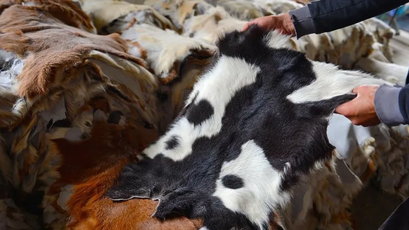 Deri sektörüne 20 milyar TL'lik 'kurban' katkısı