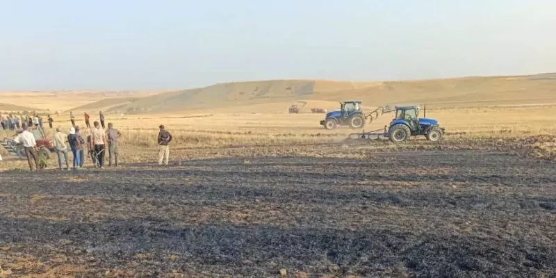 Diyarbakır'da Korkunç Yangın! 30 Dönüm Arazi Kül Oldu!
