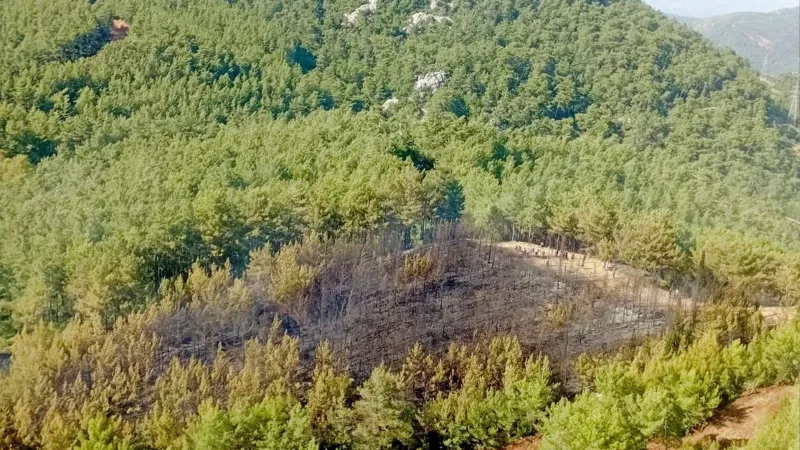 Marmaris'te çıkan orman yangını kontrol altına alındı! Yangında 2 dekar alan zarar gördü
