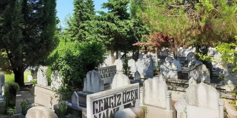 Samsun'da Şok! Mezarlıktaki Ağaçlar Kesilip Satılacak Mı?