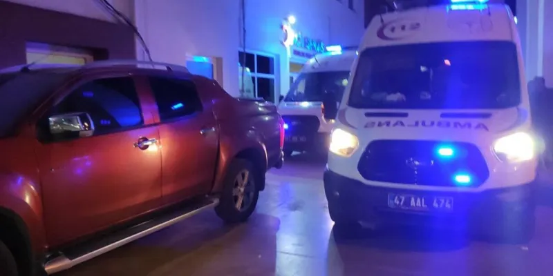 Nusaybin'de Tüfek Faciası! 14 Yaşındaki Çocuk Hayatını Kaybetti Mi?