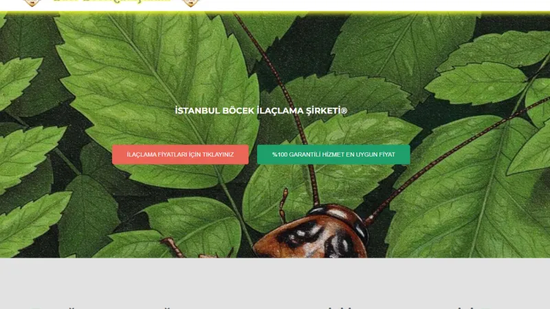 İstanbul Ev İlaçlama: En Uygun Fiyatlarla Haşere Sorununa Son!