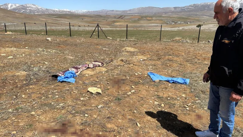 Kayseri'de Köpek Dehşeti! Yaşlı Adam Can Verdi