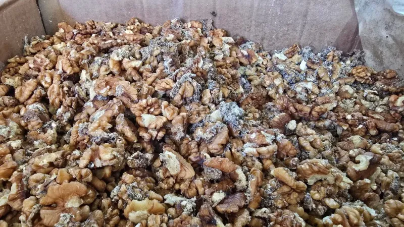 Baklava Devinden Kurtlu Ceviz Skandalı! Gerçek Ne?