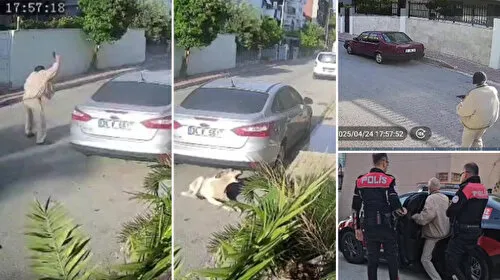 Antalya'da Köpek Vuruldu! Yaşlı Adamın Saldırı Savunması Şok Etti