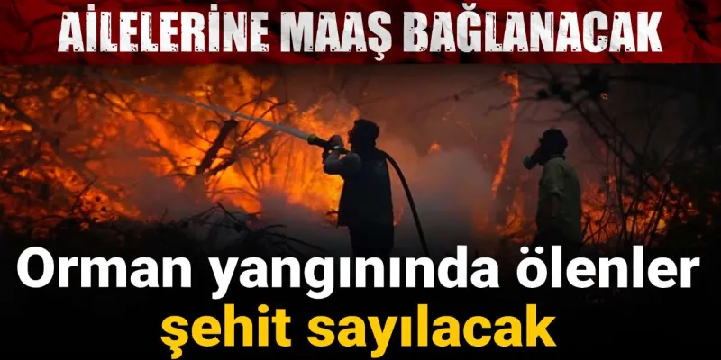 Orman Kahramanları Şehit Sayılacak! Ailelerine Müjde!