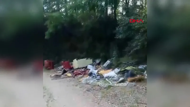 Sakarya'da ŞOK! Kurban Atıkları Ormanı Bastı!