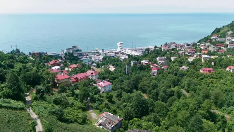 Sınırları Aşan Akrabalık: Sarp ve Sarpi'nin Yürekleri Bir!