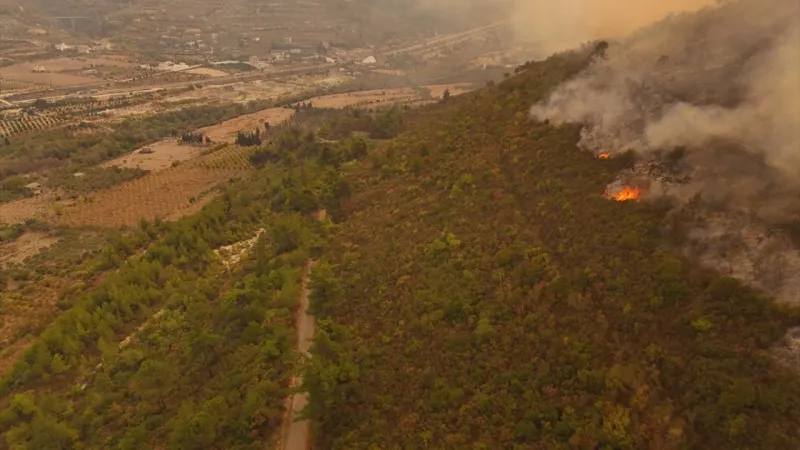 Suriye'nin Lazkiye kırsalındaki orman yangınına müdahale ediliyor