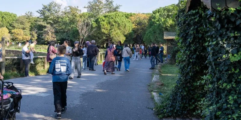 Ücretsiz giriş yapılabiliyor: Akın akın geldiler