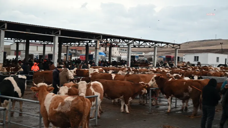 Yozgat’ta hayvan pazarlarına 'acil kapatma' kararı