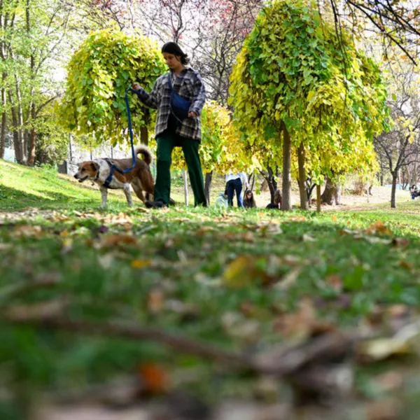 Hava Durumu: Marmara ve Ege'ye Sağanak Geliyor! Şemsiyeleri Hazırlayın!