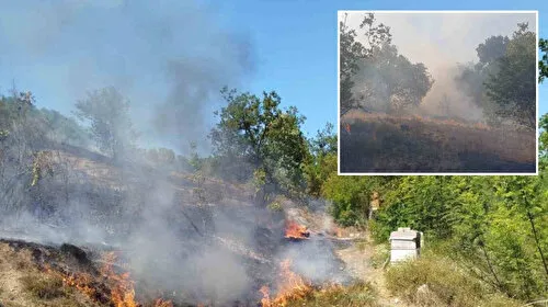 Zonguldak'ta ormanlık alanda çıkan yangına ekipler müdahale etti