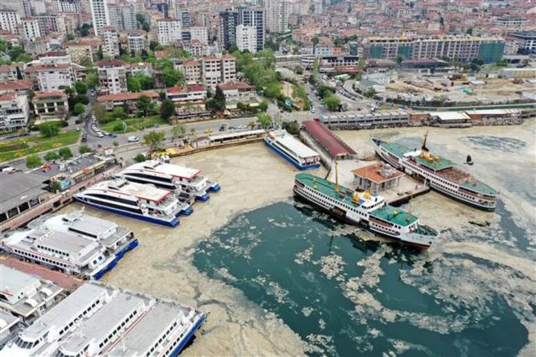 Marmarada deniz salyası kâbusu Harekete geçildi, Çevre ve Şehircilik İl Müdürlüklerine talimat verildi